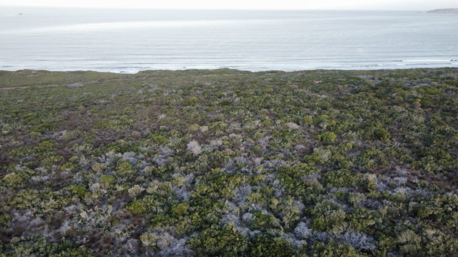 2 Bedroom Property for Sale in Hartland Lifestyle Estate Western Cape